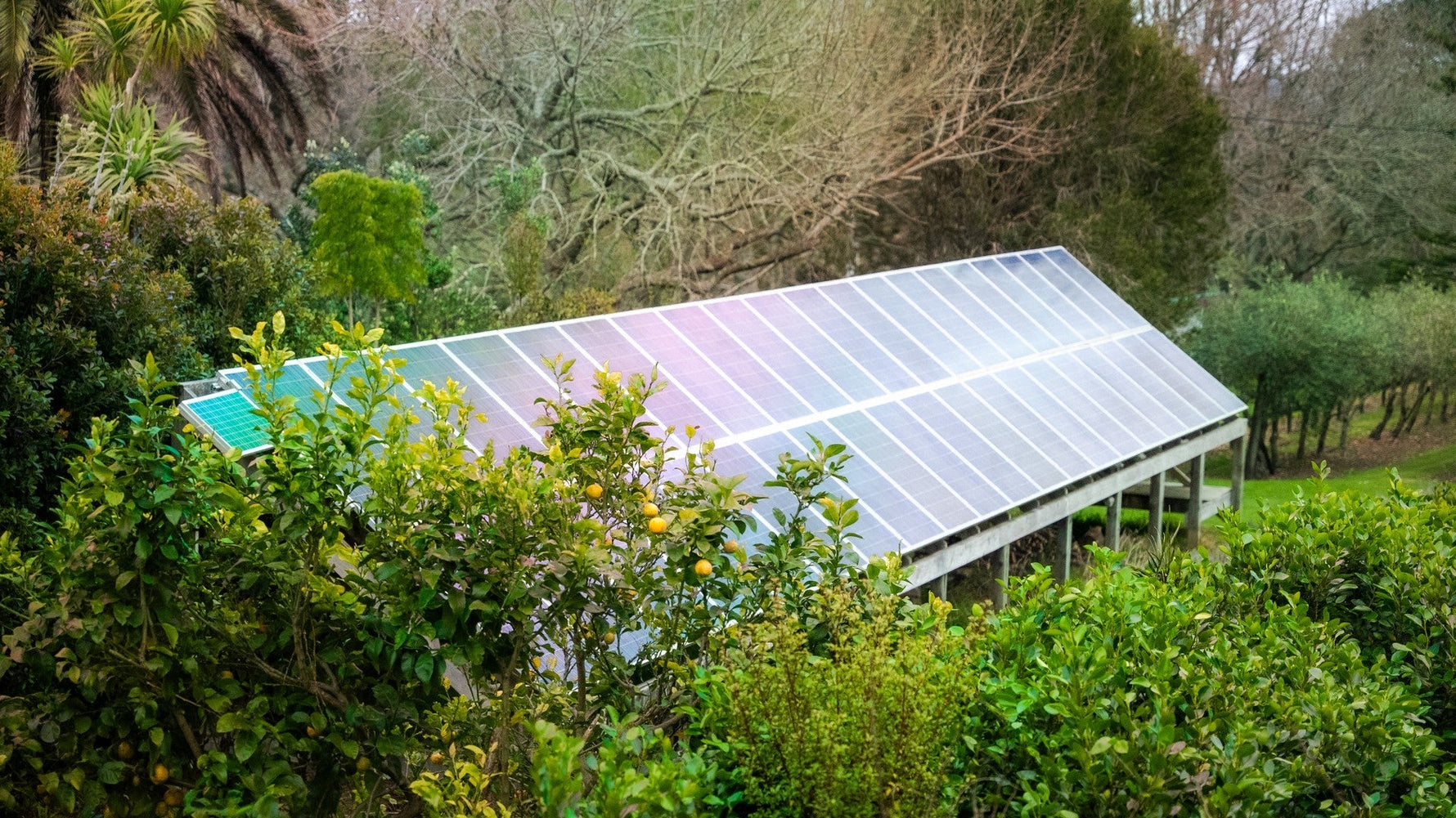 Discover the Gin, Sustainability & Soul of Lavender Hill