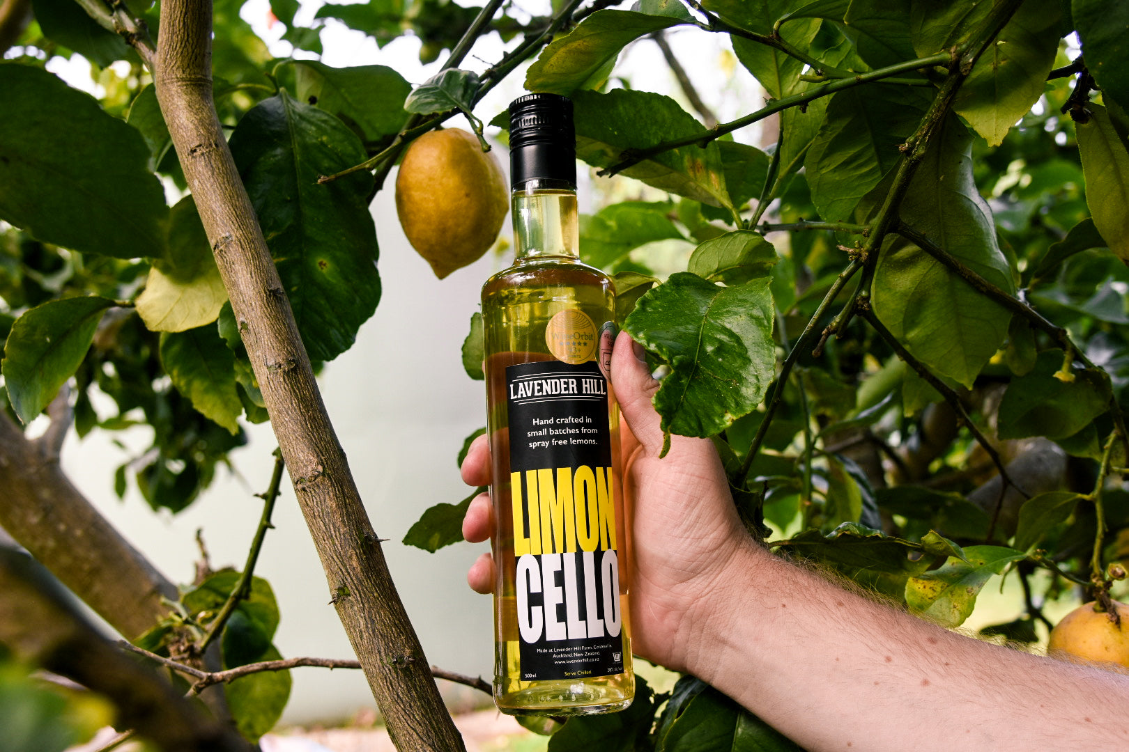 Limoncello